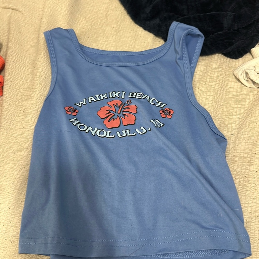 blue cropped hulter top